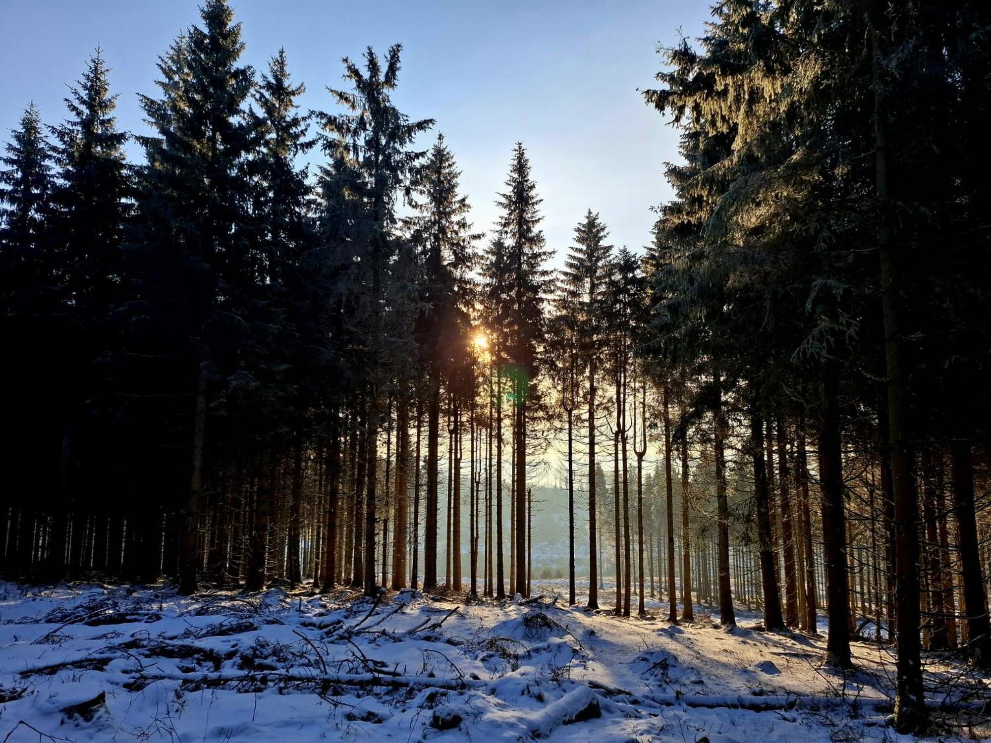 Haus Astenberg Winterberg Zewnętrze zdjęcie
